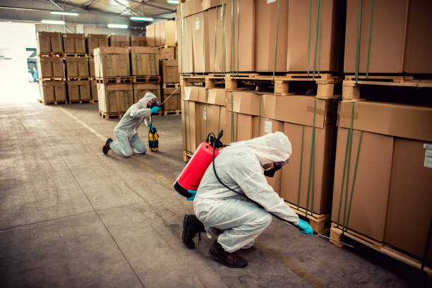Best Pest Prevention Services  in Semmes, AL