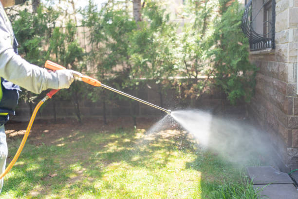 Best Wildlife Control Services  in Semmes, AL