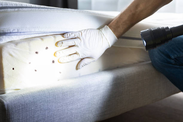 Best Pest Removal Services  in Semmes, AL
